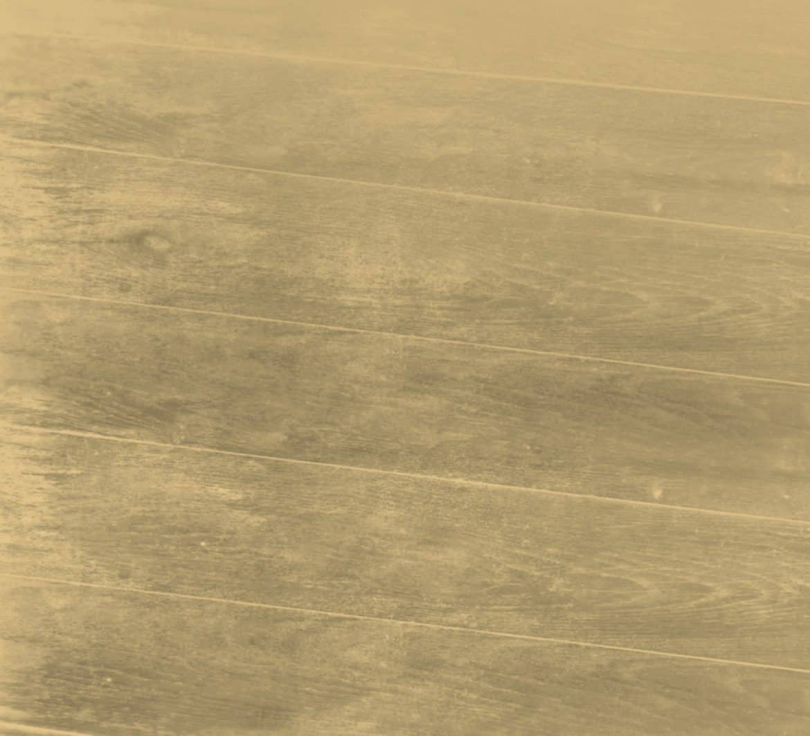 111 Iron Horse Pediatrics