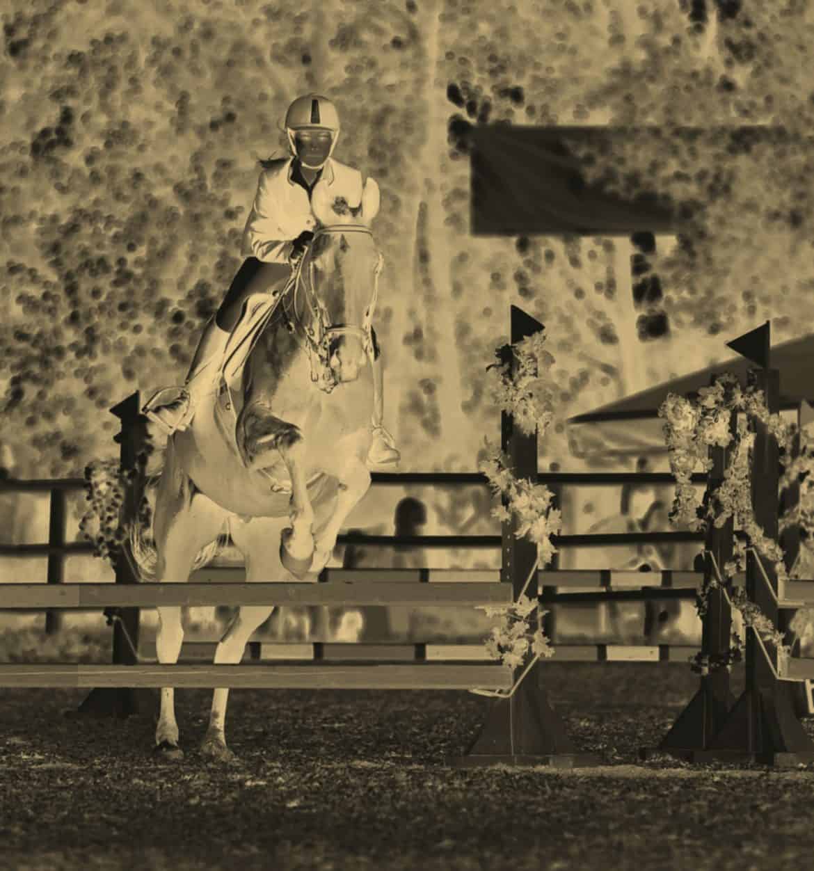 image7 Iron Horse Pediatrics