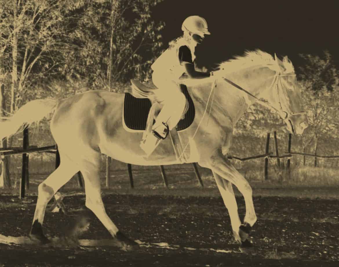 image9 Iron Horse Pediatrics