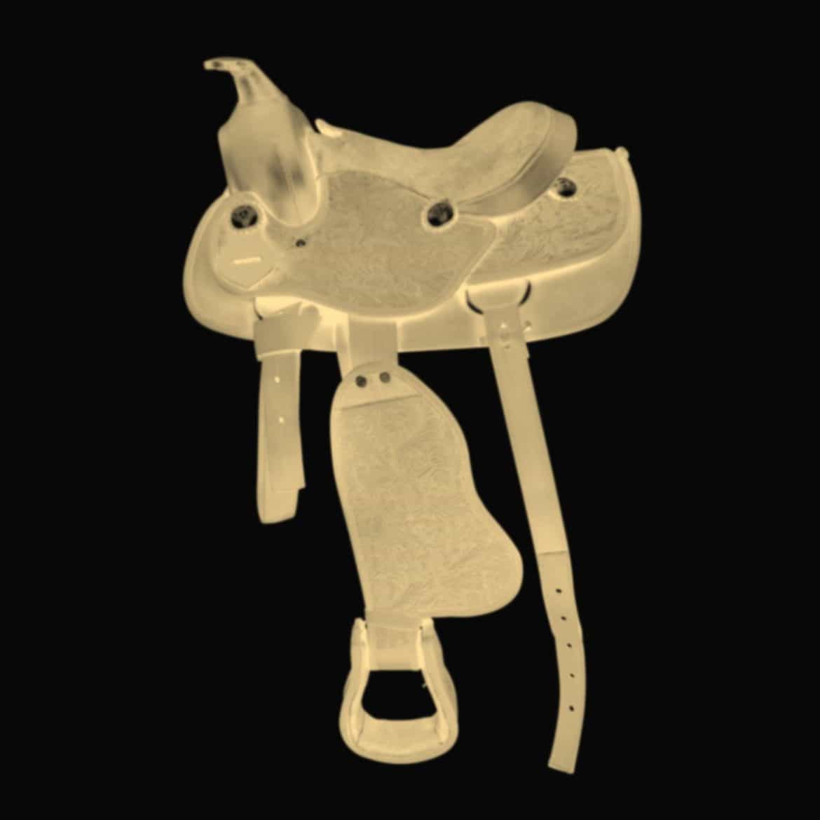 product11 Iron Horse Pediatrics